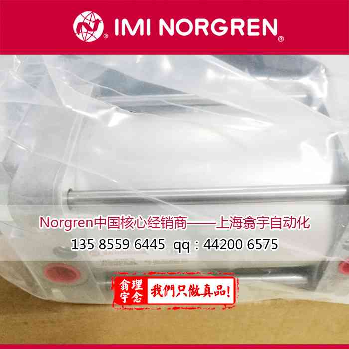 CA/8100/80,Norgren气缸